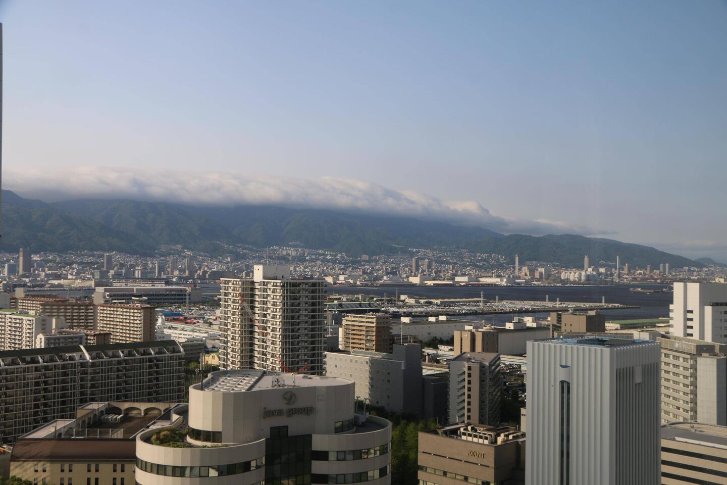 Room with a view