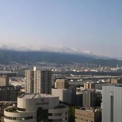 Room with a view