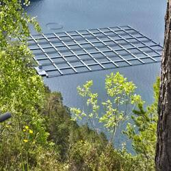 Salmon farm