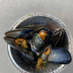 Muscheln dieser Gegend