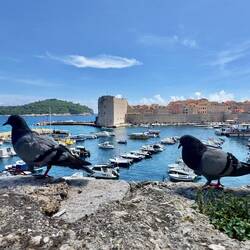 Blick auf den alten Hafen
