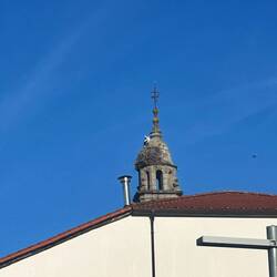 Storks! Been a while since I've seen them