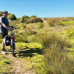 durch die Pferdekoppel