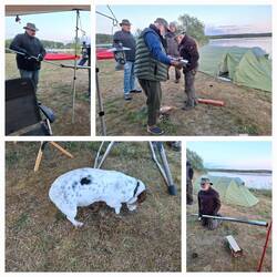 Später kommt eine Zeltstange zum Einsatz, klappt schon besser