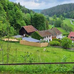 Oberaufseß, die spielenden Schäfchen sind kaum zu erkennen.