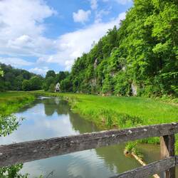 Im Tal der Wiesent....