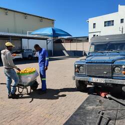 ... stärken sich zwischendrin mit Bananen...