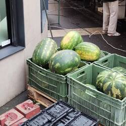 Legitimately sized watermelons at a stall