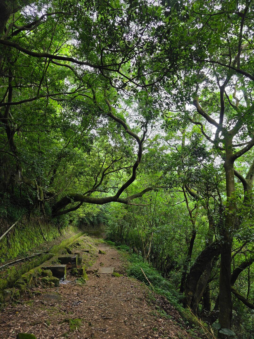 Juansi Falls Trail
