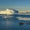 Expedition team returning to Ortelius as the sun bathes the scenery in a golden hue — Vahsel Bay.