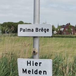 Ah, hier muss man sich für Palma melden