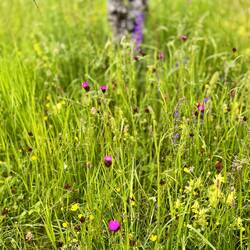 Unberührte Landschaft: so schön!