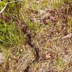 ...und hier gibt's nicht nur Bären...😝