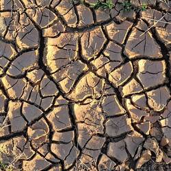Waiting for the water to come down in the Darling River from QLD