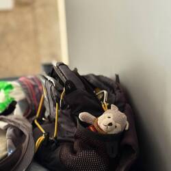 Ever faithful "Journey"