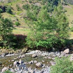 View over Stonethwaite Beck