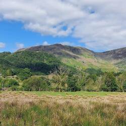 View over Borrowdale