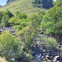View over Stonethwaite Beck towards Eagle Crag