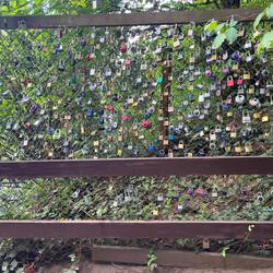 Fence with many locks hanging on it
