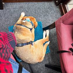 Erster Restaurant Besuch mit Bravur gemeistert.