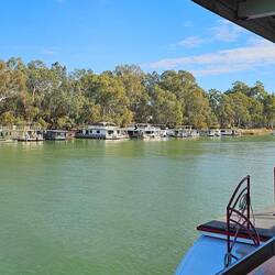 Houseboats on the Murray River