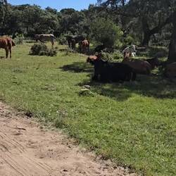 Ich freund kein Futter 😅