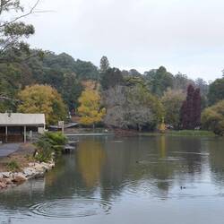Emerald. Die herbstlich gefärbten Bäume sind nicht heimisch sondern aus Europa eingeführt.