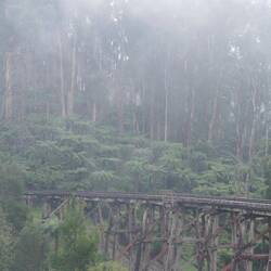 Berühmter Fotospot, die Trestle Bridge. Noch im Nebel nach dem Regen.
