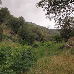 GPS Track war hier sehr hilfreich.