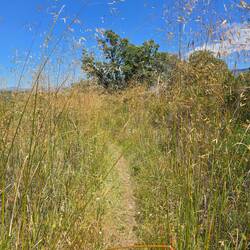 Absolut Allergiker freundlich hier 😂