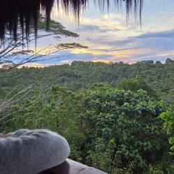 View from the top of the lodge