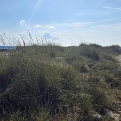 Nothing but sea