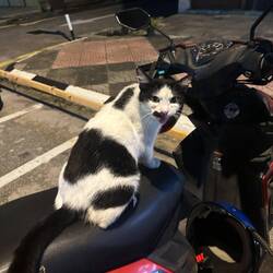 Ich denke unser Roller gehört jetzt ihr 🤷🏼‍♀️🤣