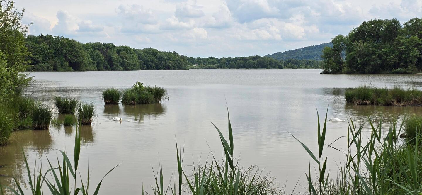 The etang de la veronne is part of a large outdoor leisure area