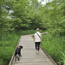 Nice boardwalks cover the northern end of the lake