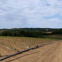 Landwirtschaftliche Hochebene im Landesinneren