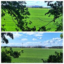 Blick auf den Kalimandscharo
