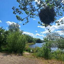 Ich bin hier quasi allein unterwegs