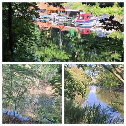 Impressionen vom Altkanal