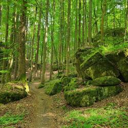 Felsenland vor Pegnitz