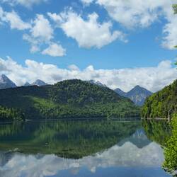 Blick auf den Alpsee in Hohenschwangau