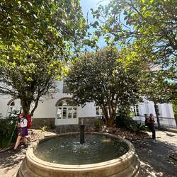 Peaceful garden at the Pilgrim's office where you get your credential