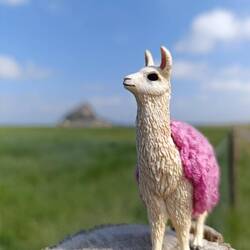 Mini-Kurt 🦙
