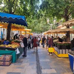 Markt in Toulon
