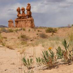 Was für ein cooler State Park!