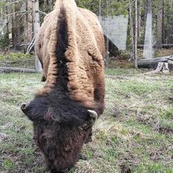 Nur ca. 2 m vom Auto entfernt am Straßenrand