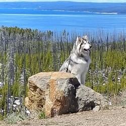 Für Luisa: So ein hübscher Kerl 🤗