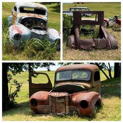 Rostlauben gehören zu den treuesten Begleiter hier