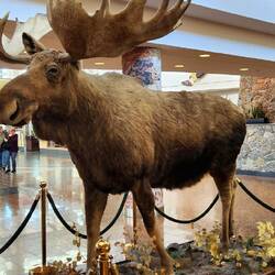 This is what greets you at the airport in Anchorage