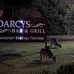 Im Motel hatte das Abendessen schon begonnen.